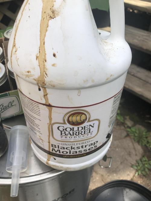 Fermented Plant/Juice Extract. Week 0