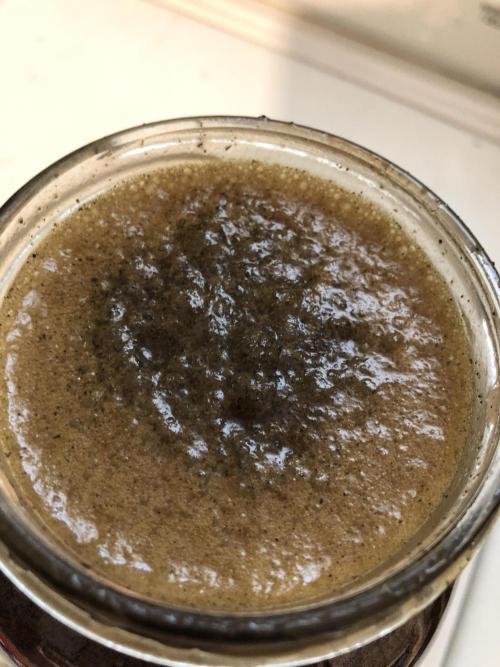 Fermented Plant/Juice Extract. Week 0