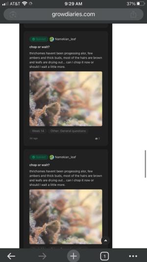 Comment by MindFlowers68 photo #2