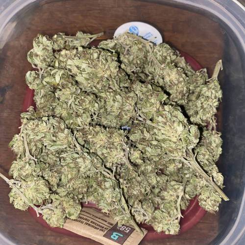 Grandaddy Purple::Clone. Week 11