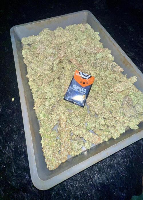 Apple Fritter. Week 12