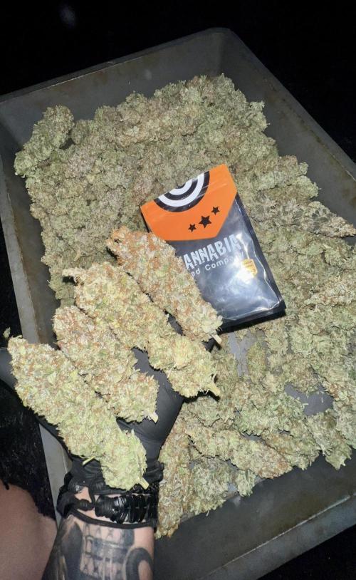Apple Fritter. Week 12