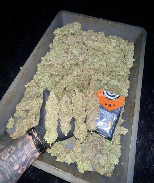 Apple Fritter. Week 12