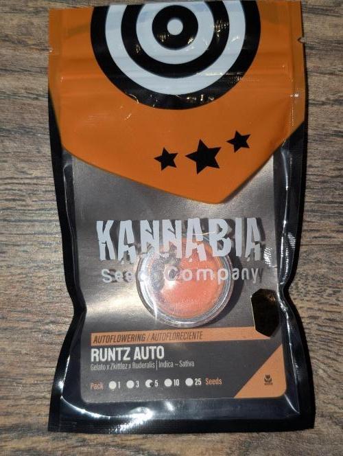 Runtz Auto x4. Week 3