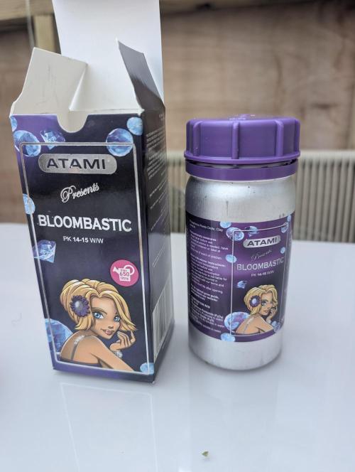 Creamzilla Auto x3. Week 11