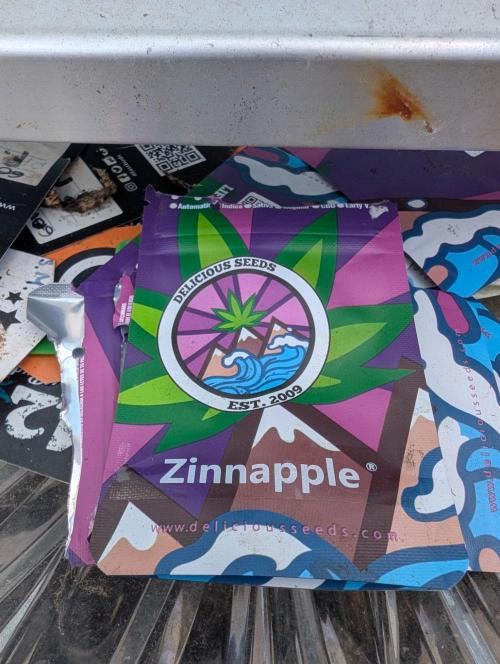 Zinnapple . Week 1