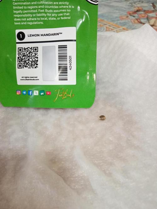 (Lemon mandarine) Poor Summer extra part. Week 0
