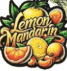 (Lemon mandarine) Poor Summer extra part. Week 1