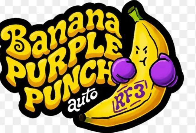 (🍌purple punch RF3) Poor Summer part2. Week 0