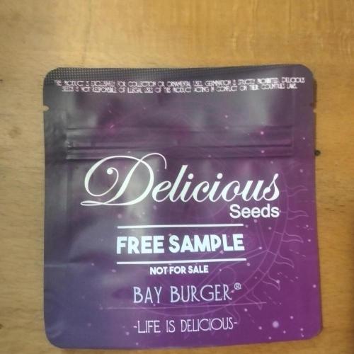 Bay Burger. Week 0