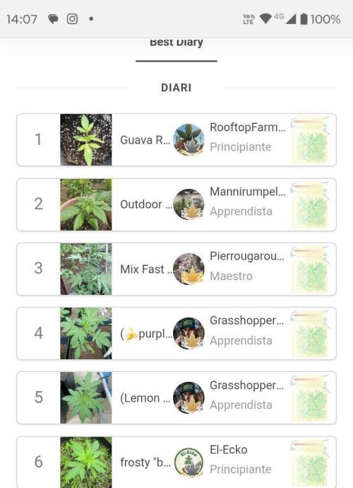 (🍌purple punch RF3) Poor Summer part2. Week 7