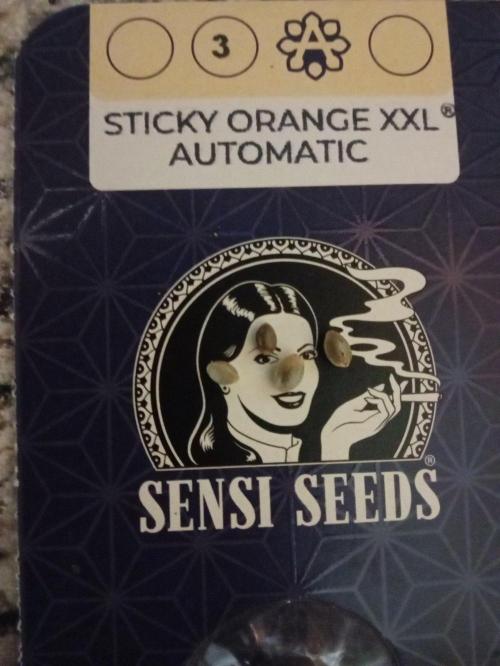 Sensational poor  late Summer. Week 0
