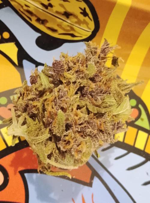 Banana purple punchRF3 Poor Summer part2. Week 11