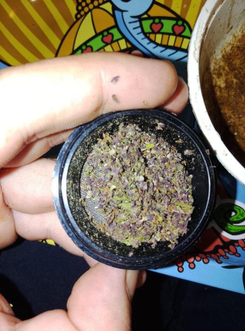 Banana purple punchRF3 Poor Summer part2. Week 11