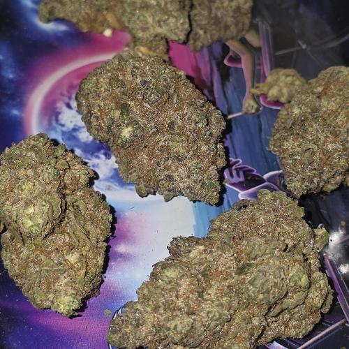 Papaya mix 420s. Week 22