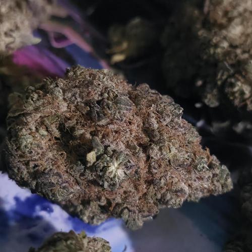 Papaya mix 420s. Week 22