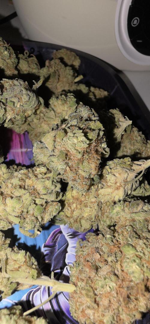 Papaya mix 420s. Week 22