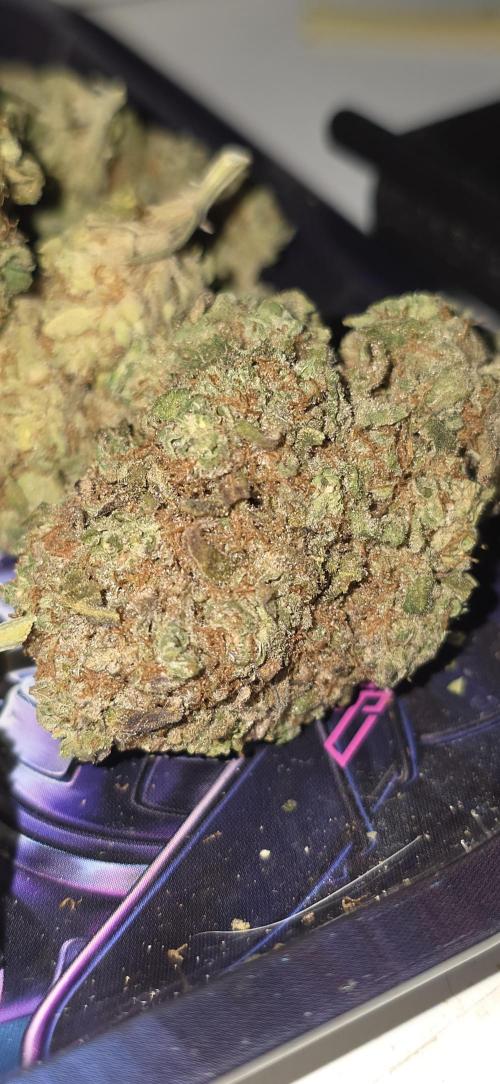 Papaya mix 420s. Week 22