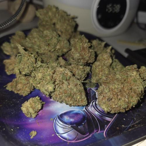 Papaya mix 420s. Week 22