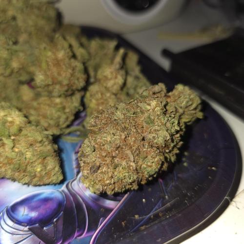 Papaya mix 420s. Week 22