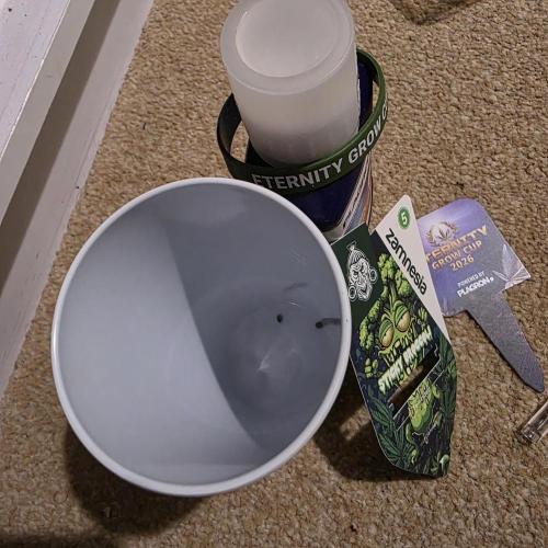 Eternity Cup "26. Week 0