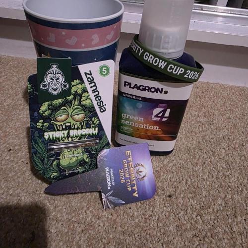 Eternity Cup "26. Week 0