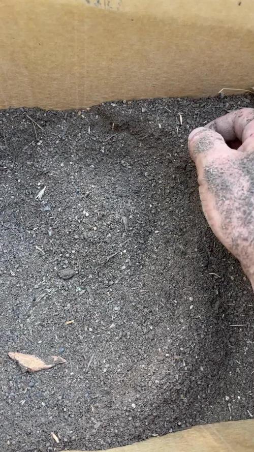 Apple fritter 2025 Barney’s