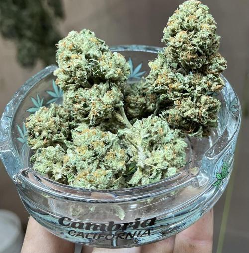 North fork 2025 organic goods. Week 24