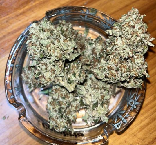 North fork 2025 organic goods. Week 24