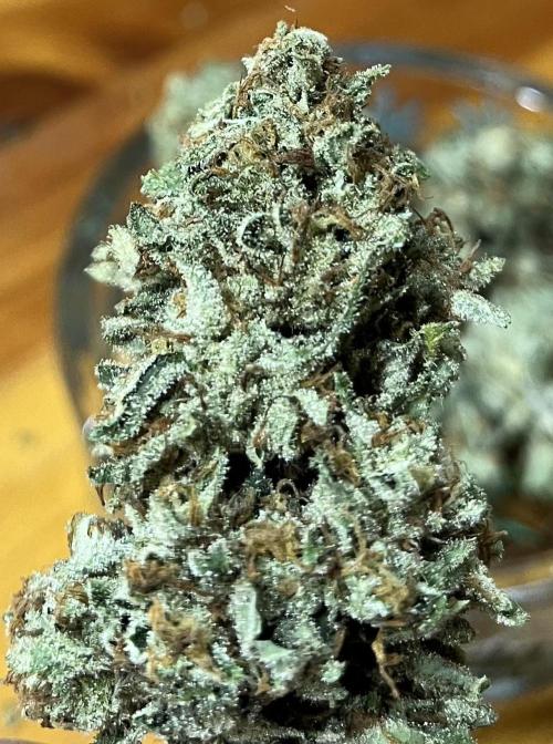 North fork 2025 organic goods. Week 24