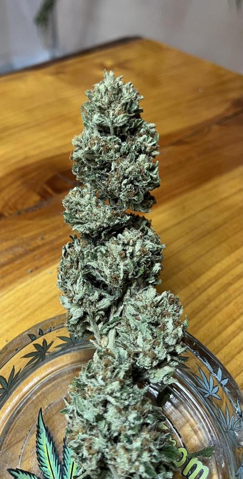 North fork 2025 organic goods. Week 24