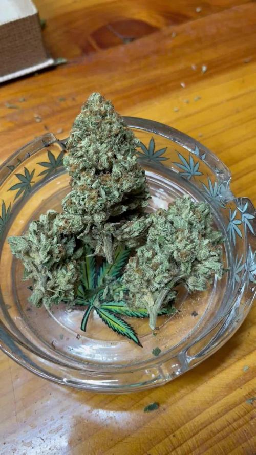 North fork 2025 organic goods