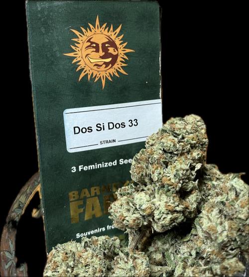 North fork 2025 organic goods. Week 24