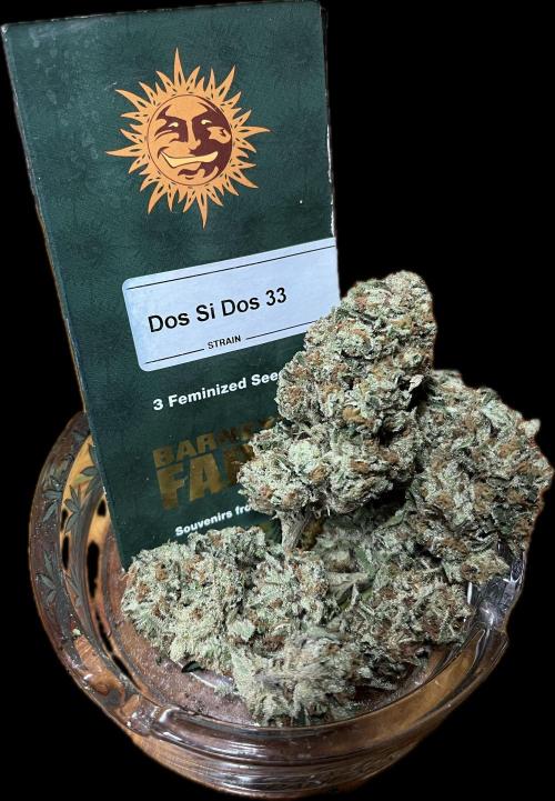 North fork 2025 organic goods. Week 24