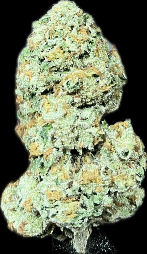 North fork 2025 organic goods. Week 24