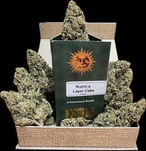 North fork 2025 organic goods. Week 24