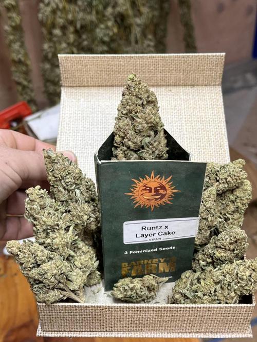 North fork 2025 organic goods. Week 24