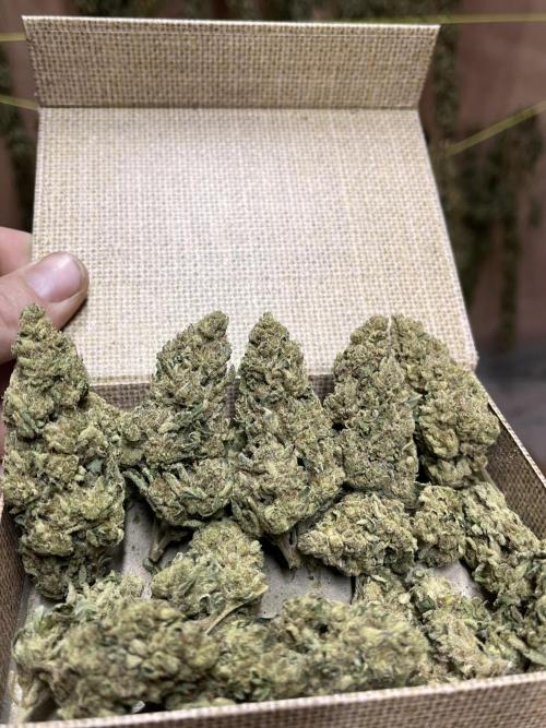 North fork 2025 organic goods. Week 24