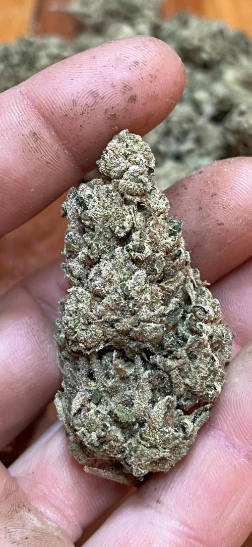 North fork 2025 organic goods. Week 24