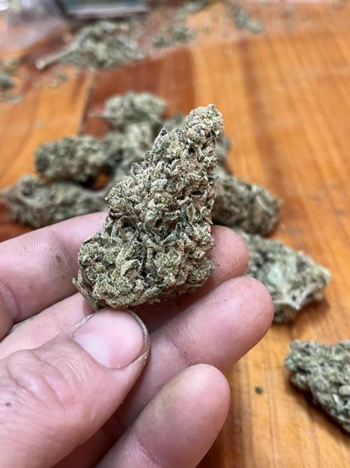 North fork 2025 organic goods. Week 24