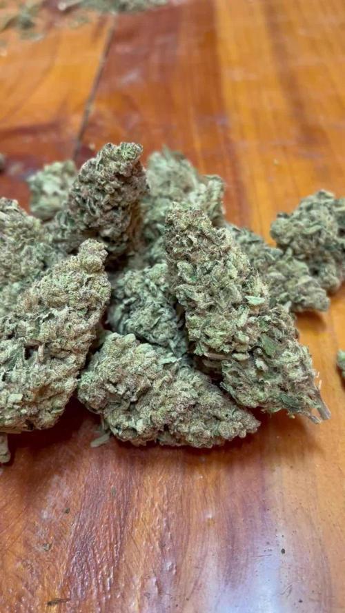 North fork 2025 organic goods