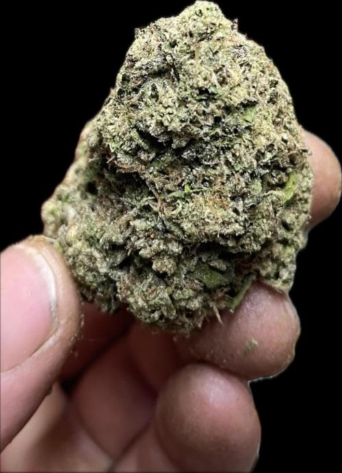 North fork 2025 organic goods. Week 24