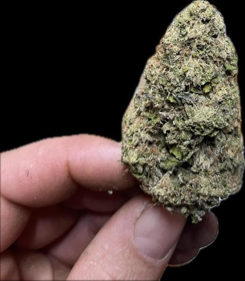 North fork 2025 organic goods. Week 24