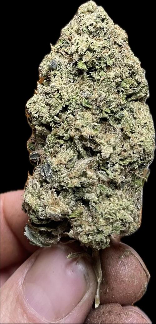 North fork 2025 organic goods. Week 24