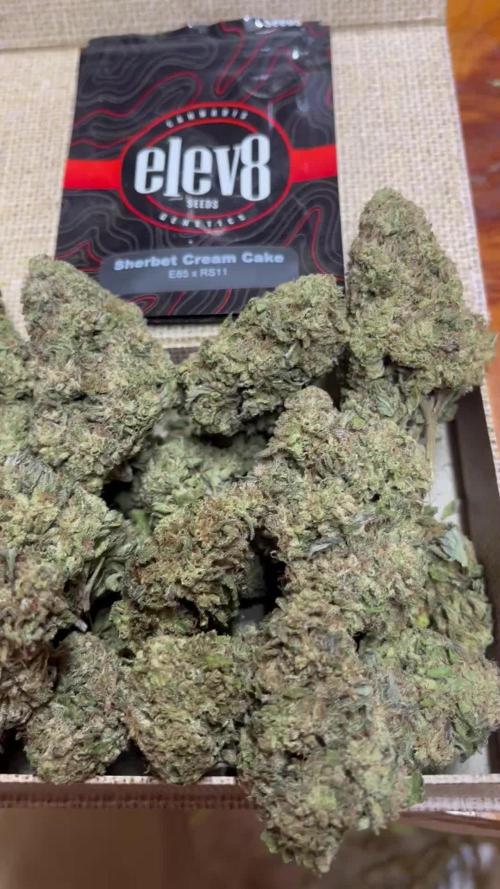 North fork 2025 organic goods