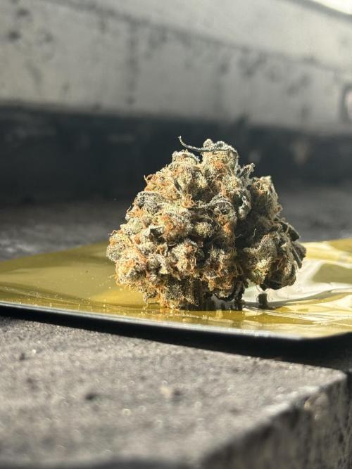 Panda + Delicious early. Week 17