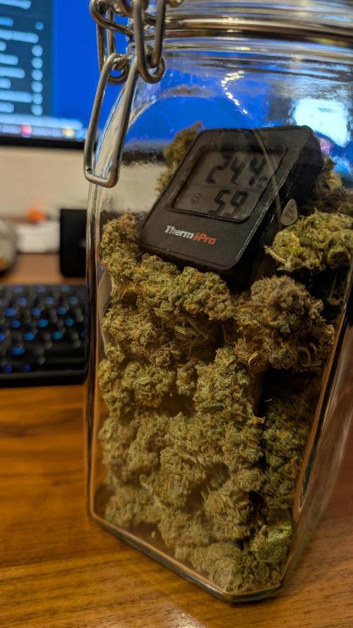 Sour Jealousy in an Autopot. Week 13