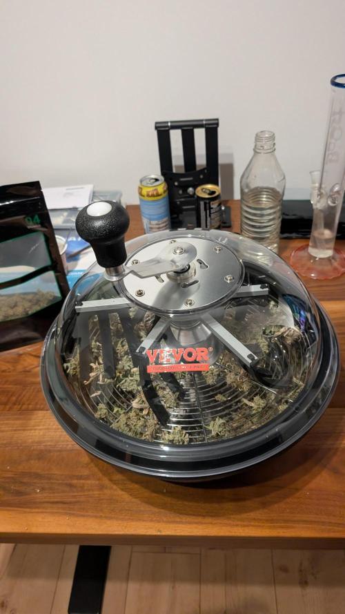 Sour Jealousy in an Autopot. Week 13