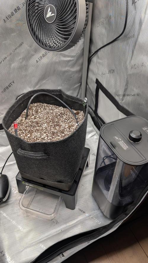 Papaya Cookies Auto. Week 0 - Finished setup in the tent, drain master underneath the new pot