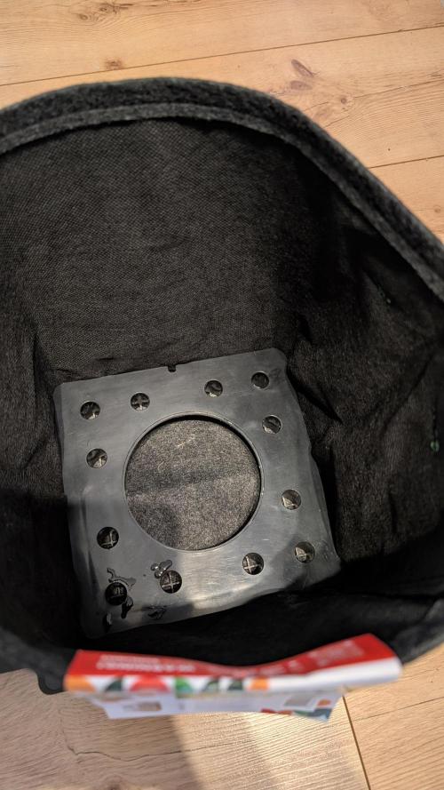 Papaya Cookies Auto. Week 0 - Airbase fitting like a glove